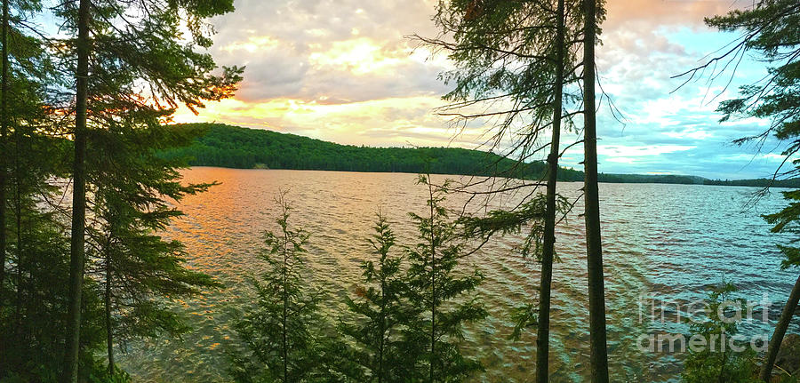 Burnt Island Lake Sunset in Algonquin Park Photograph by Nina Silver