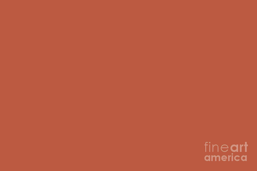 Burnt Orange Solid Color Pantone Spice Route 17-1345 Accent to Color of the Year 2021 Digital Art by PIPA Fine Art - Simply Solid