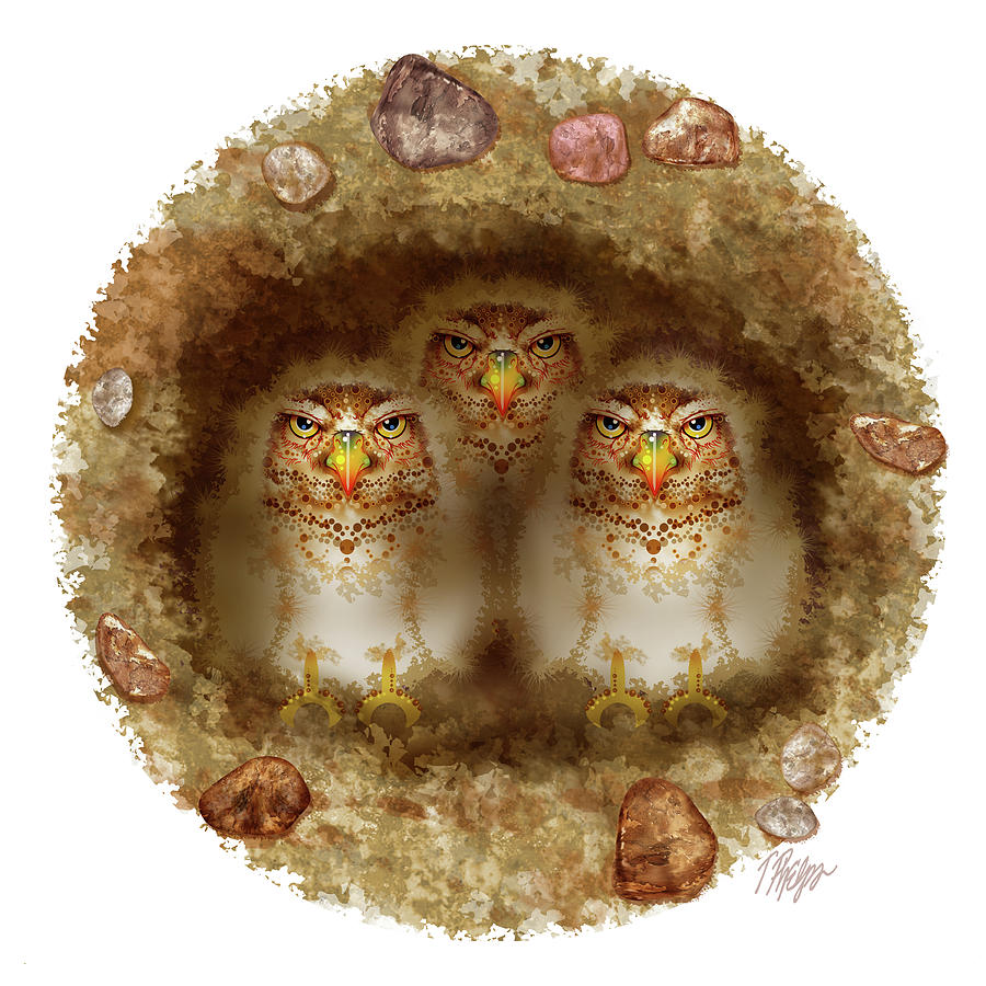 Burrowing Owl Burrow Nature Mandala Digital Art by Tim Phelps