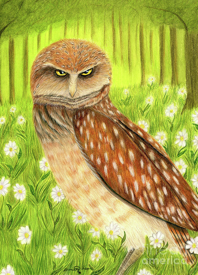 Burrowing Owl Painting by Dorothy Lee