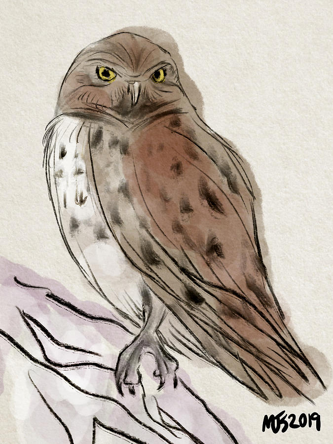 Burrowing Owl  Digital Art by Michael Kallstrom