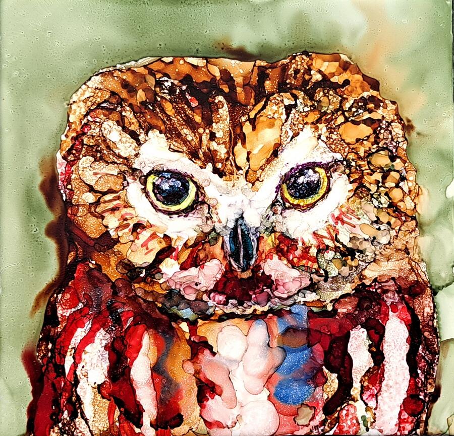Burrowing Owl Painting by Ruth Kamenev