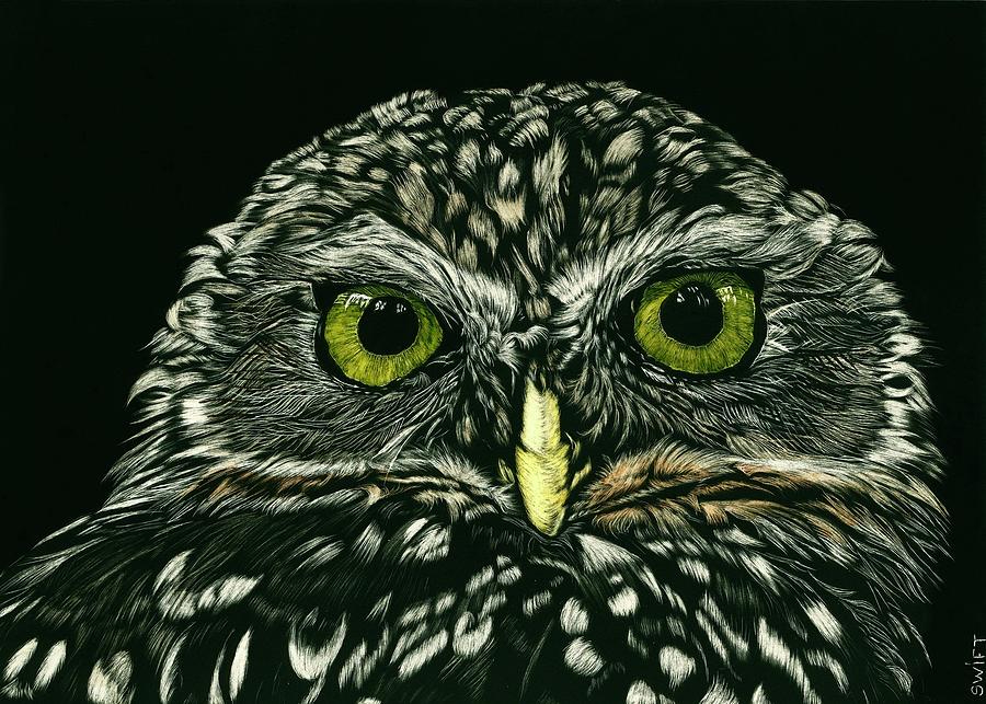 Burrowing Owl Mixed Media by Sonja Jones