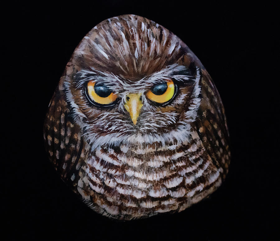 Burrowing Owl Stone Painting by Nancy Lauby