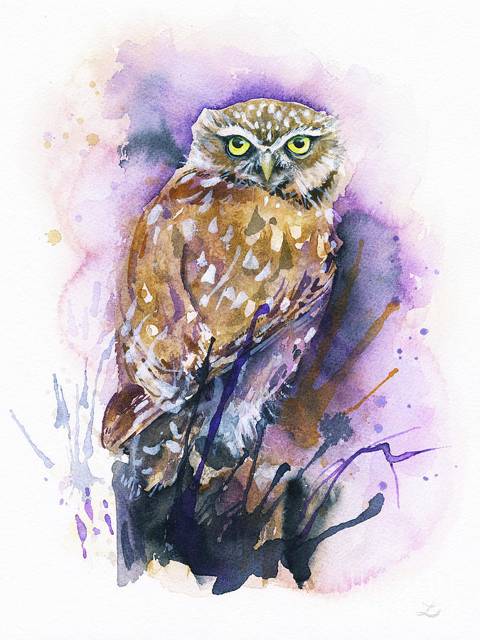 Burrowing Owl  Painting by Zaira Dzhaubaeva
