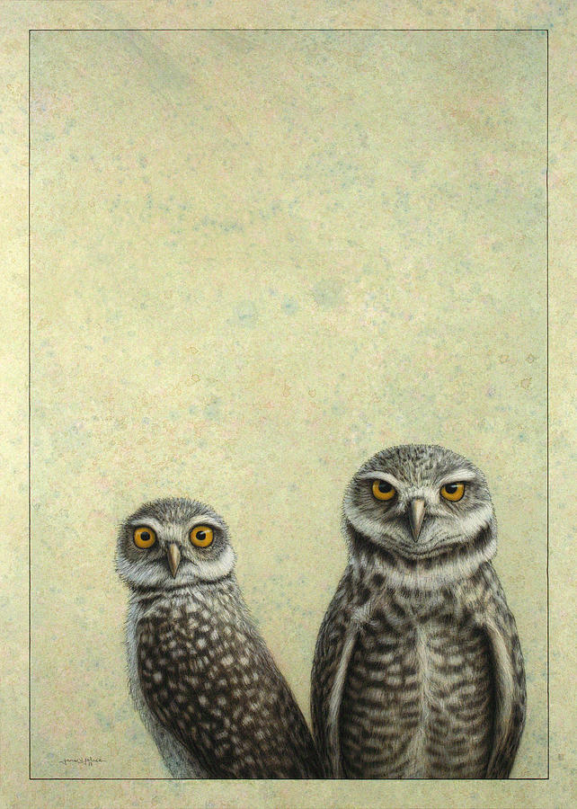 Bird Painting - Burrowing Owls by James W Johnson