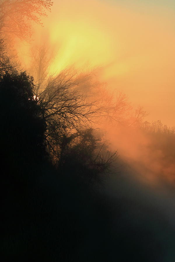 Burst of Sunlight Photograph by Daniel Koglin