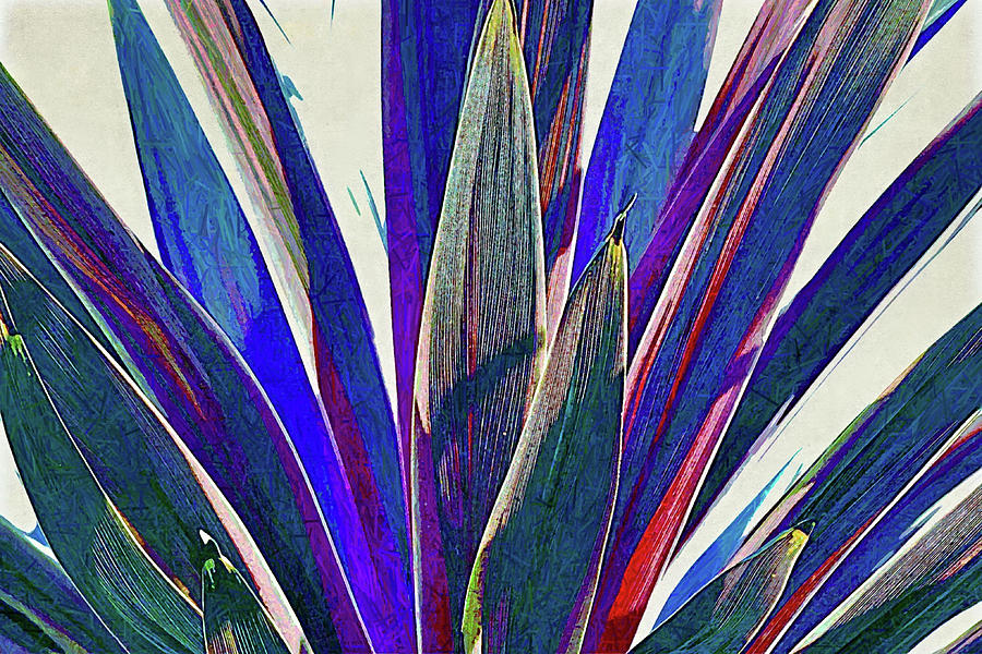 Bursting Bromeliad Leaves Of Color Photograph