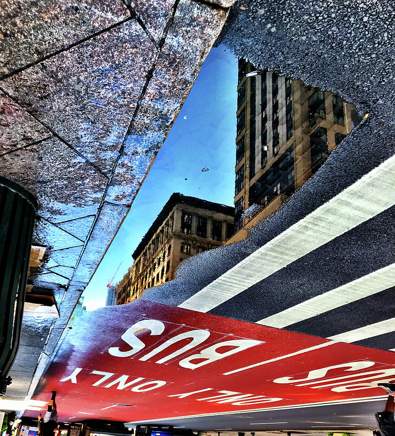 Puddle Photograph - Bus Only by Julia Maddox Puddle Photograph - Bus Only by Julia Maddox