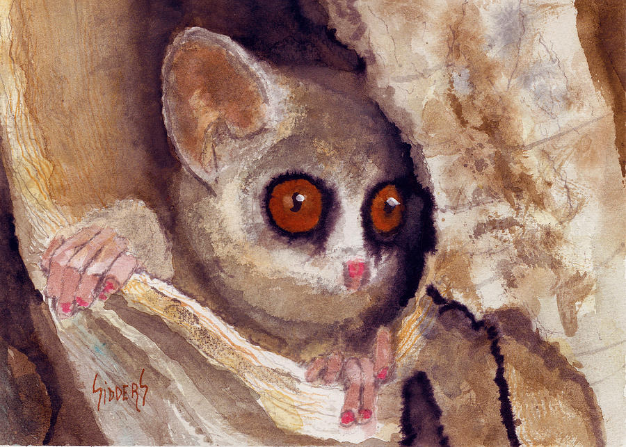 Bush Baby Painting by Sam Sidders