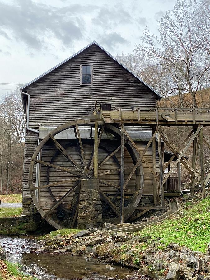 Bush mill Photograph by Dwight Cook