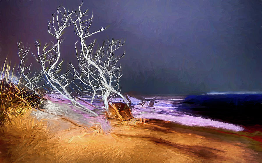 Bush on the Beach at Night ap Painting by Dan Carmichael