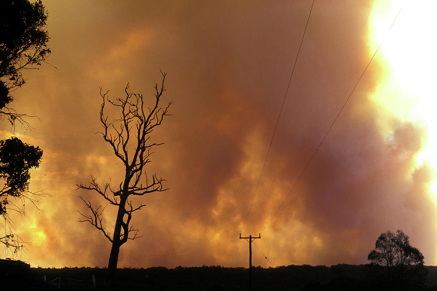Bushfires Threaten Melbourne Photograph by Jerry Griffin