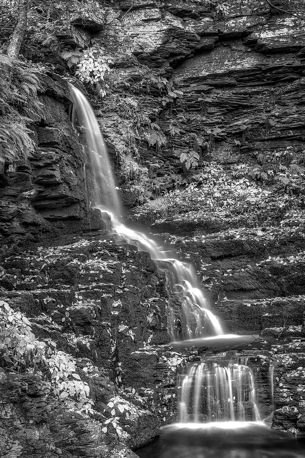 Bushkill Bridal Veil Falls PA BW Photograph by Susan Candelario