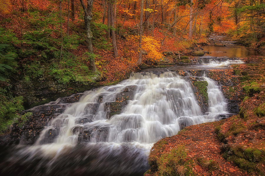 Waterfall Photograph - Bushkill Pennel Falls PA by Susan Candelario