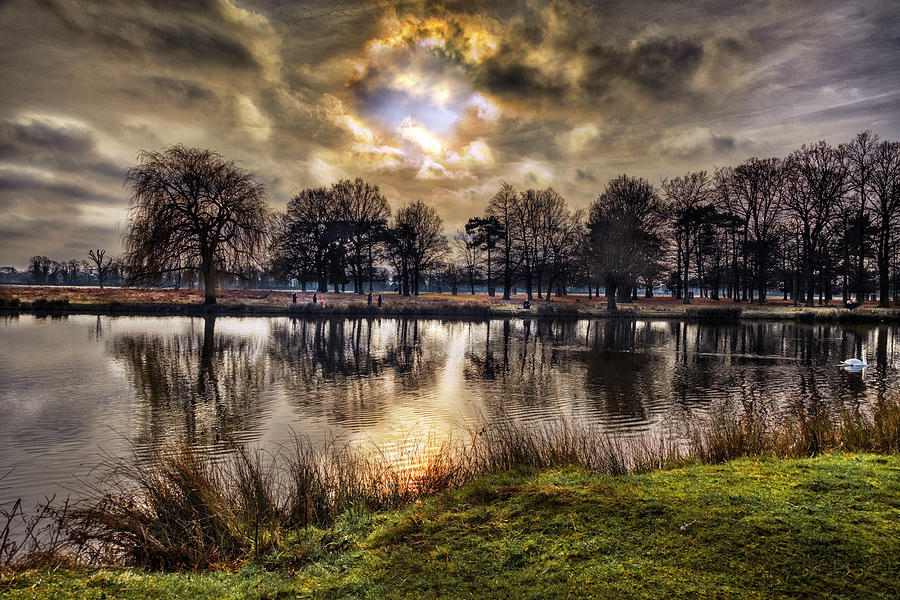 Bushy Park Sunrise Photograph by Dave Williams - Pixels