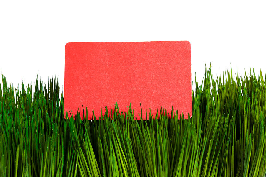 Business Card and green grass Photograph by Devonyu