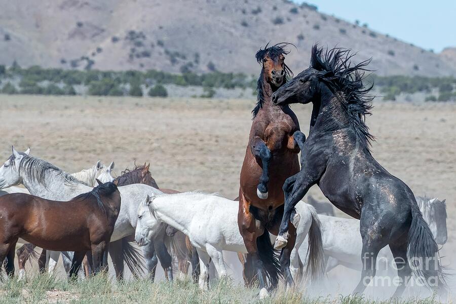 Business Meeting Photograph by Jennifer Jenson - Fine Art America