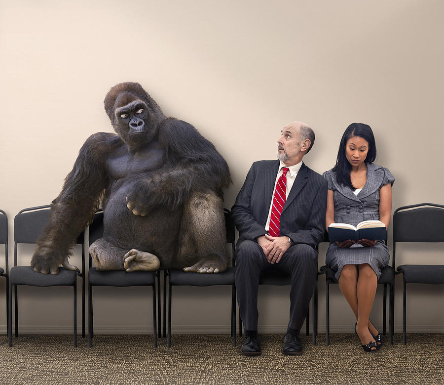Business people sitting next to gorilla Photograph by John M Lund Photography Inc