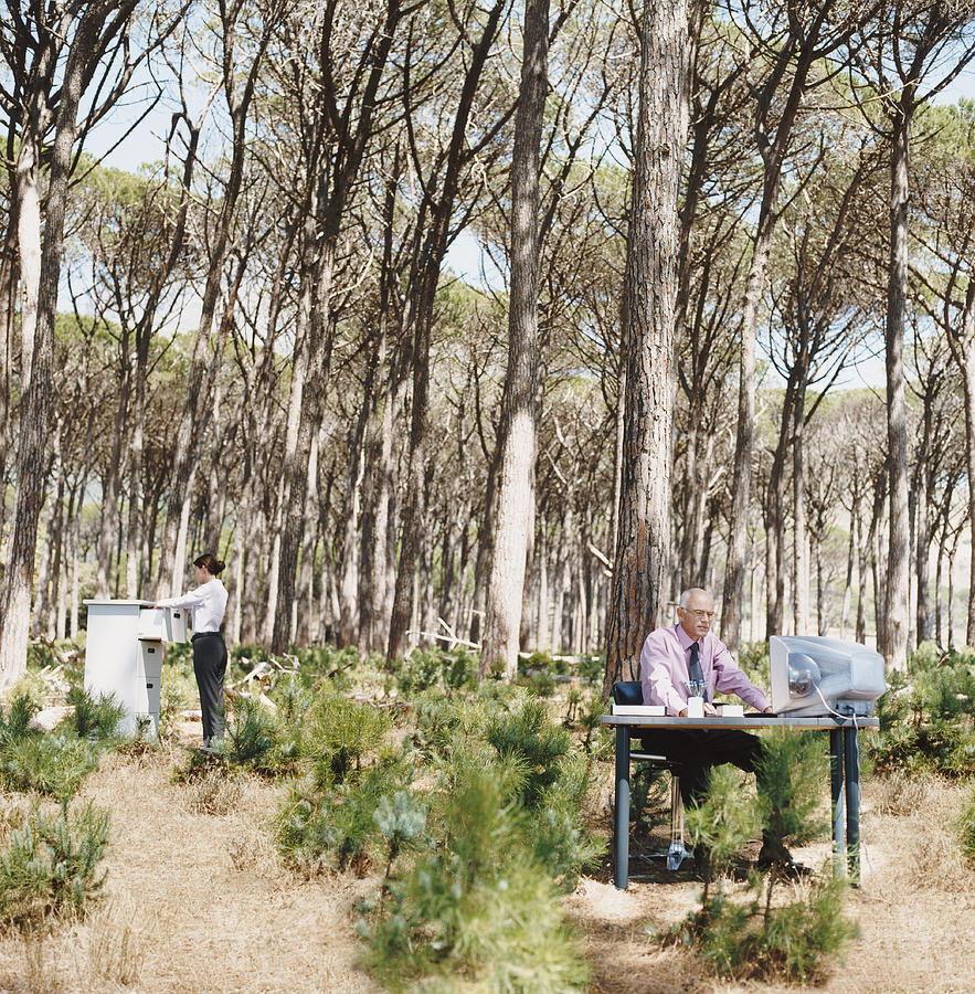 Businessman and Businesswoman Work in an Office in a Forest Photograph by Digital Vision.