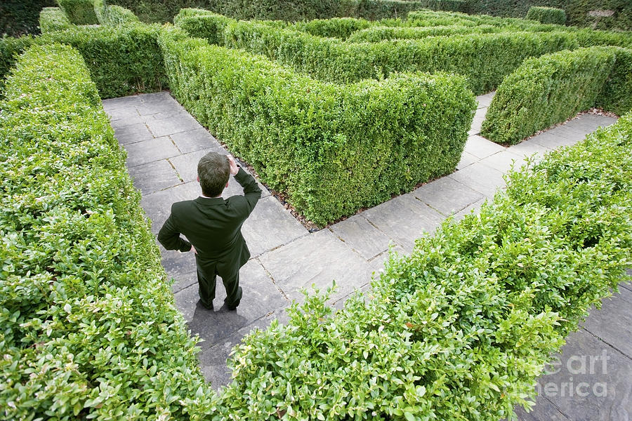 Businessman Lost In A Maze Photograph