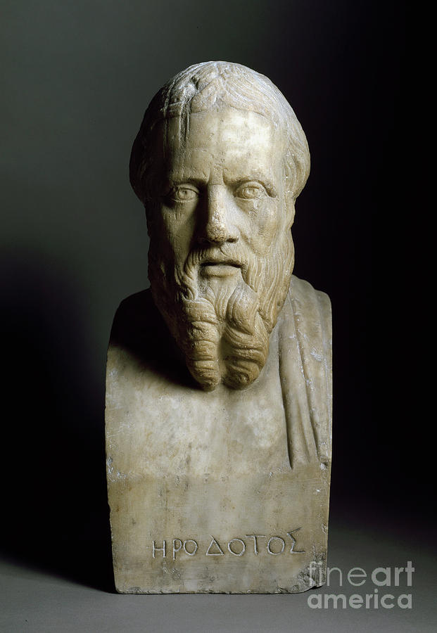 Bust Of Herodotus, Greek Historian, Sculpture, 2nd Century Sculpture by Greek School