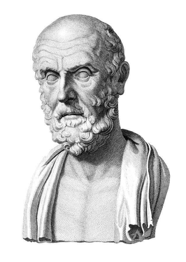 Bust of Hippocrates Drawing by Wynnter