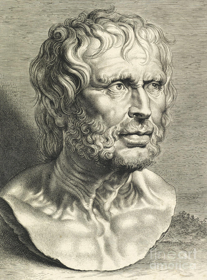 Peter Paul Rubens Drawing - Bust of Seneca by Peter Paul Rubens