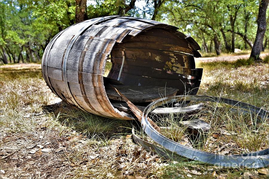 Busted Barrel  Photograph by Leo Sopicki