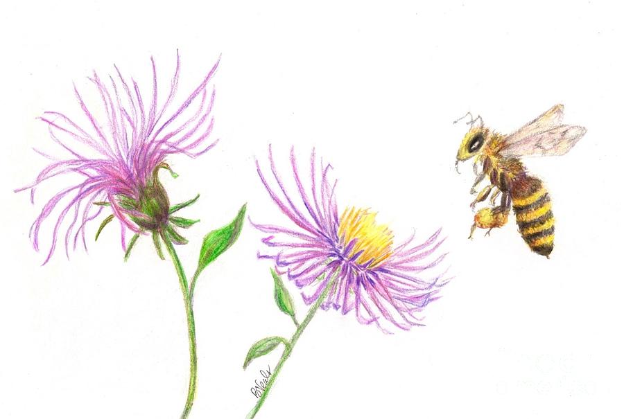 Busy Bee Drawing by Bev Veals