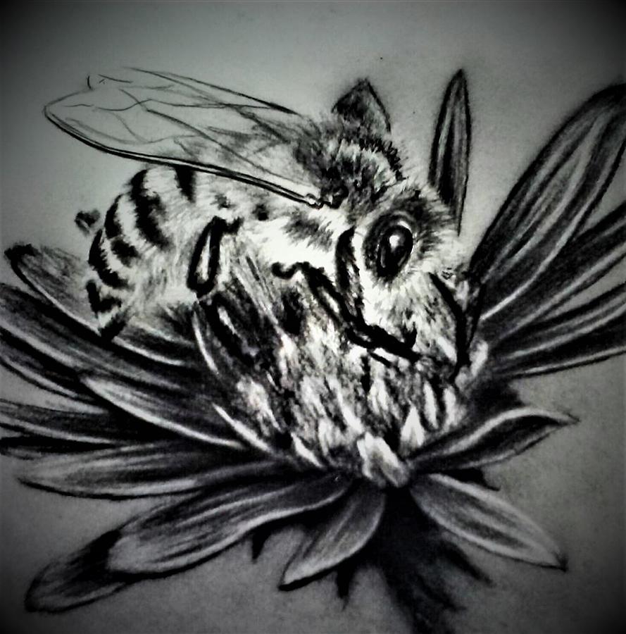 Busy Bee Drawing by Jamie Welch - Fine Art America