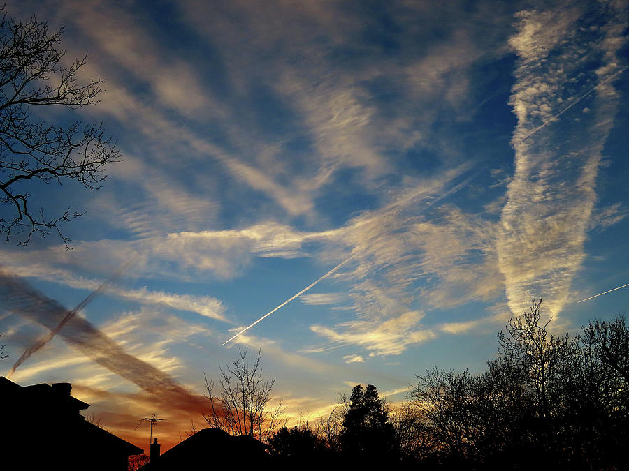 Busy Winter Sky at Dusk - Three Photograph by Linda Stern