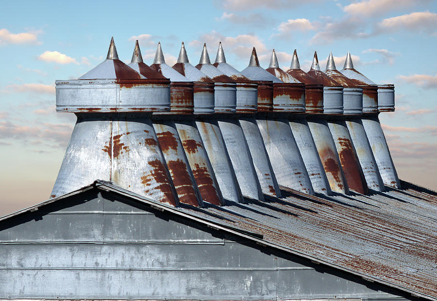 The Twelve Apostles -  Row of weathered galvanized cupola vents on a farm building in Stoughton WI Photograph by Peter Herman