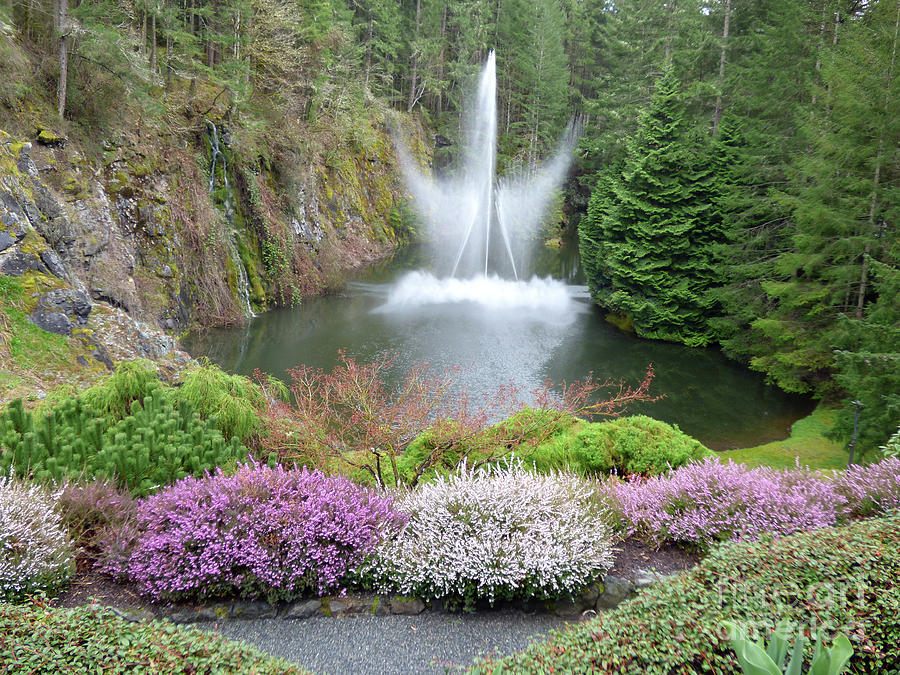Butchard Gardens Ross Fountain Photograph by Charles Robinson