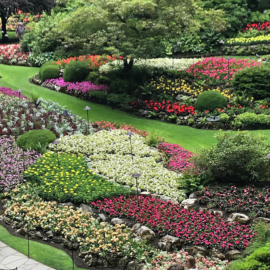 Butchart Gardens Photograph by Isabelle Foley - Fine Art America