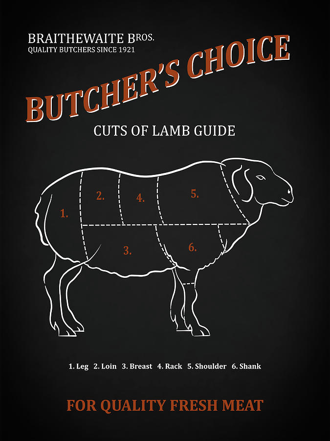 Sheep Photograph - Butchery Guide Cuts Of Lamb by Mark Rogan