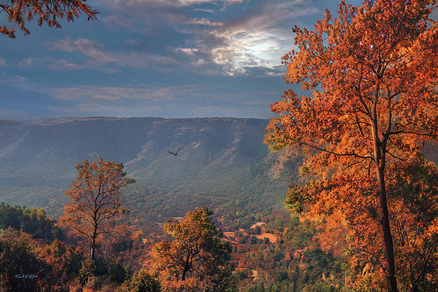 Butte Creek Canyon In Autumn Photograph by Frank Wilson