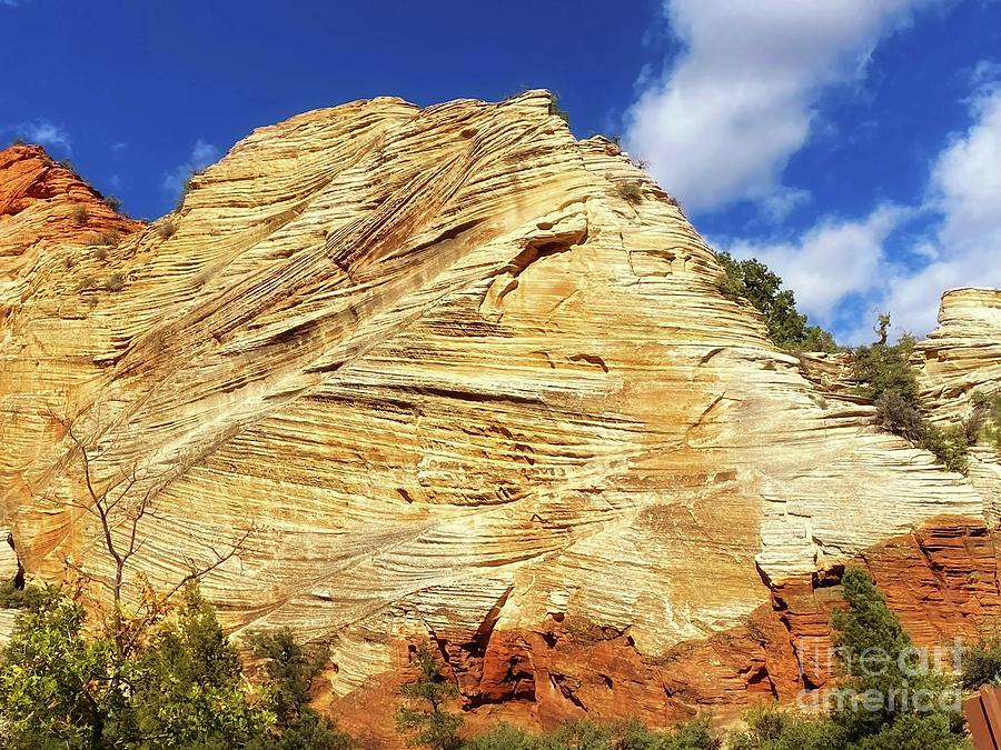 Zion National Park Photograph - Butte Formations  by LaDonna McCray