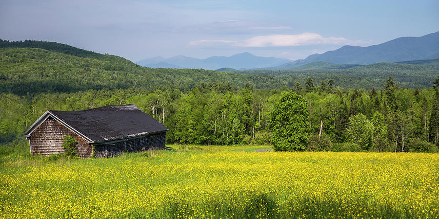 Buttercup Barn Photograph by White Mountain Images
