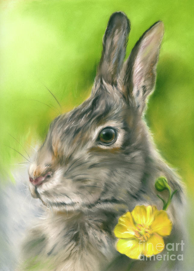 Buttercup Bunny Rabbit Painting by MM Anderson