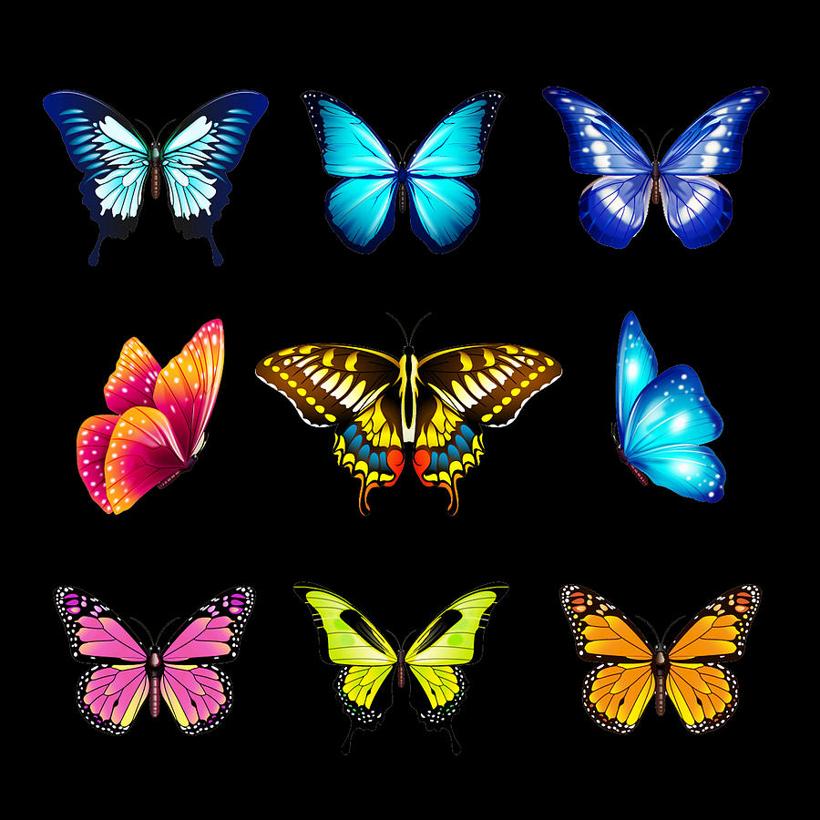 Butterflies 2 Painting by Tony Rubino