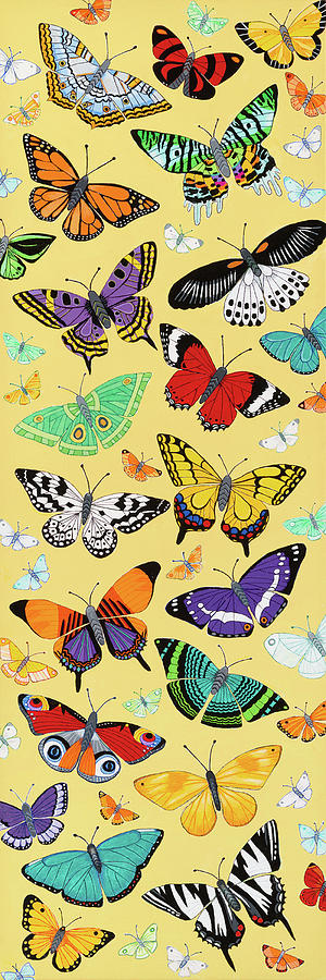 Butterfly Painting - Butterflies, and a few Moths by Michael Jernegan