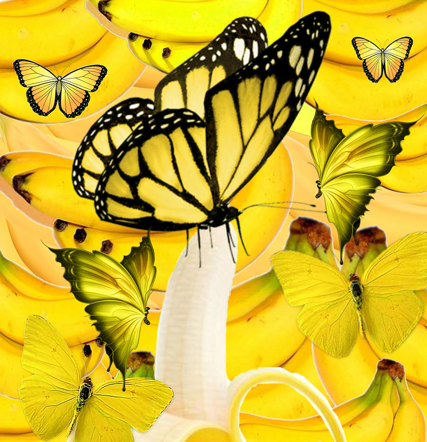 Butterflies and Banana Digital Art by Gayle Price Thomas