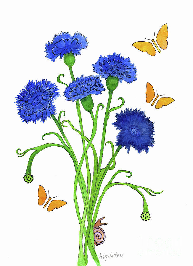 Butterflies and Wild Asters Painting by Norma Appleton