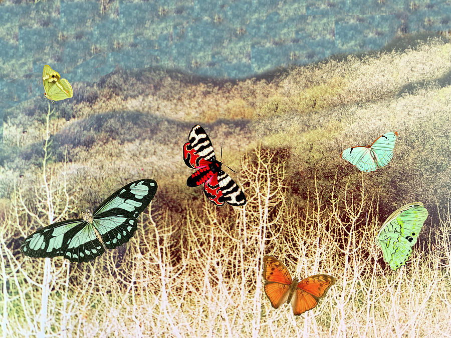 Butterflies at dusk Digital Art by Lorena Cassady