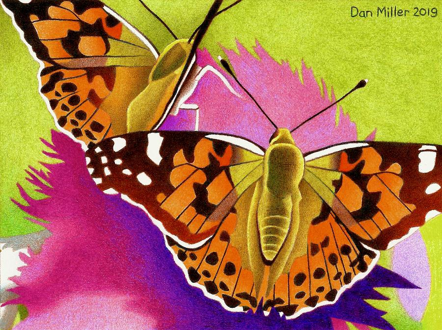 Butterflies Drawing by Dan Miller