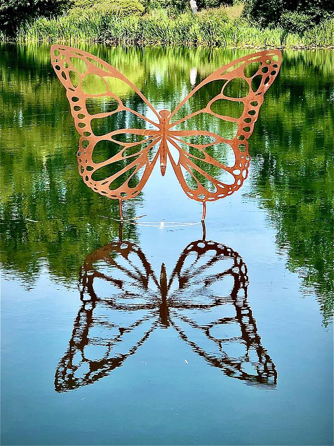 Butterflies Photograph by Gordon James