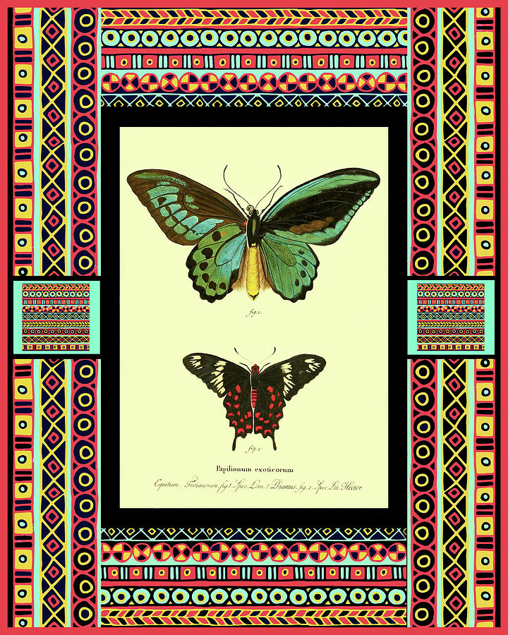 Butterflies in a Decorative Frame Digital Art by Lorena Cassady