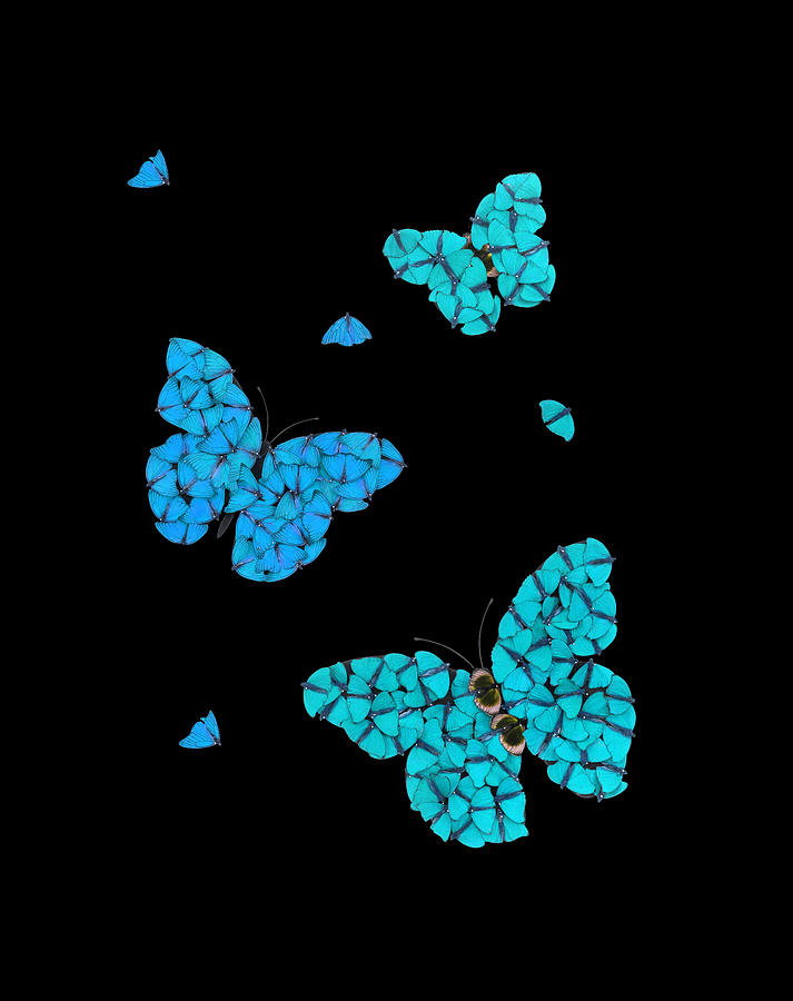 Butterflies in Flight Light Blue Digital Art by Scott Fulton