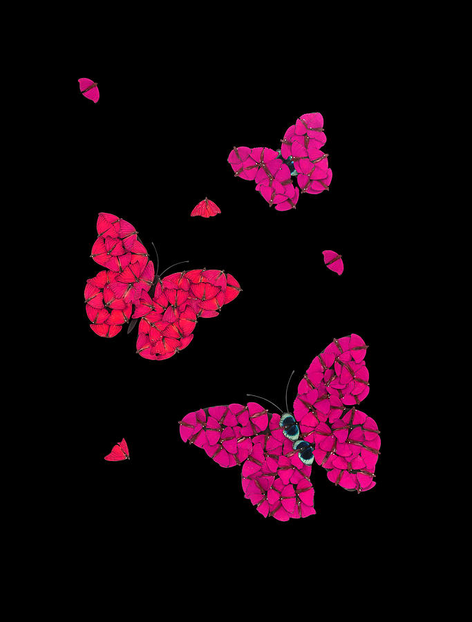 butterflies in Flight Pink Digital Art by Scott Fulton